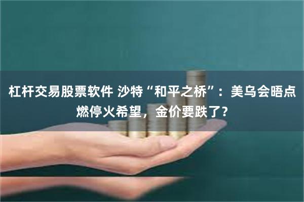 杠杆交易股票软件 沙特“和平之桥”：美乌会晤点燃停火希望，金价要跌了？