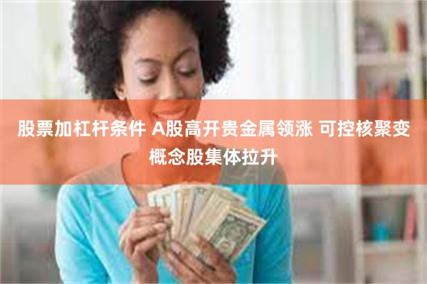 股票加杠杆条件 A股高开贵金属领涨 可控核聚变概念股集体拉升