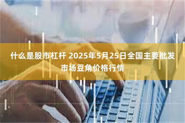 什么是股市杠杆 2025年5月25日全国主要批发市场豆角价格行情